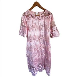 Light Pink Sheer appliqué dress